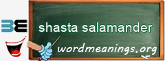 WordMeaning blackboard for shasta salamander